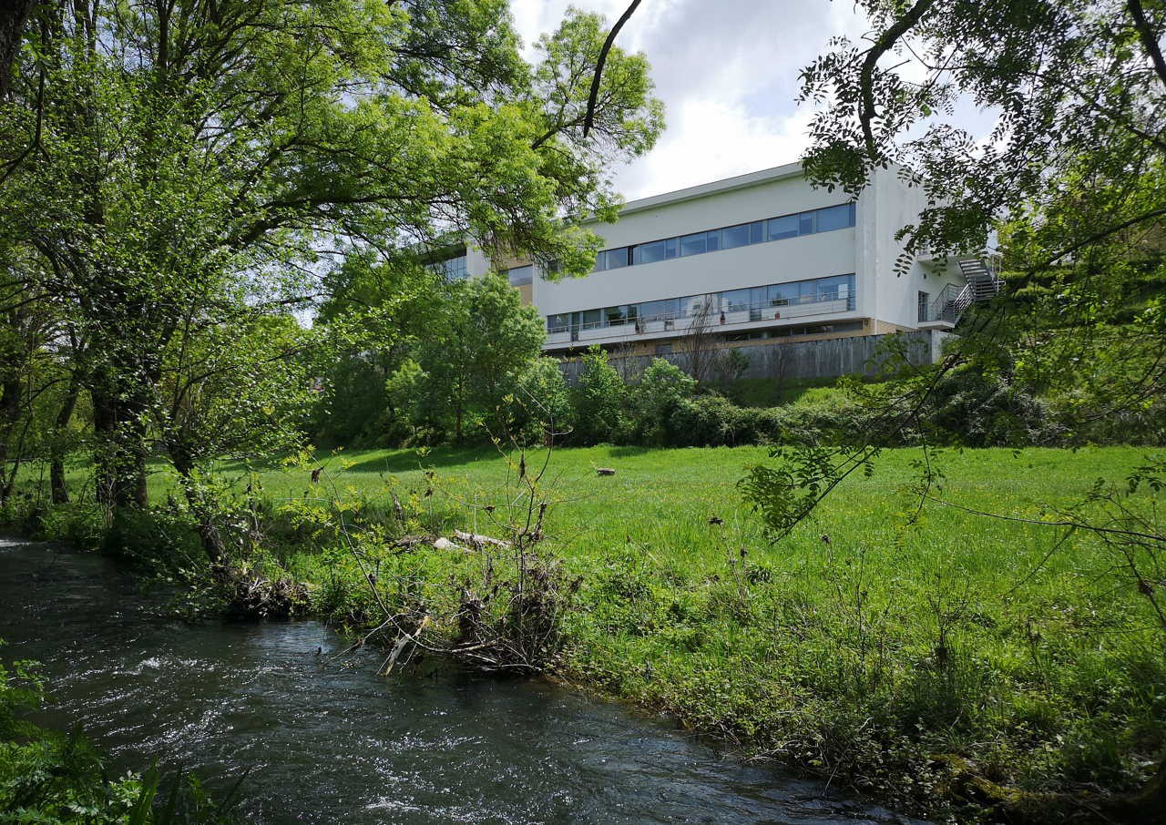 Politécnico de Bragança mantém aulas não presenciais até 30 de maio