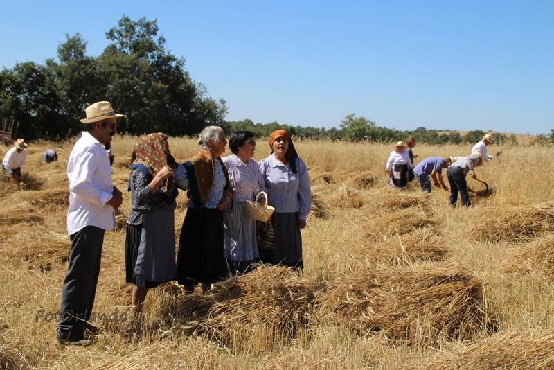 Aldeia de Palácios volta a ceifar ao som da música tradicional em Bragança