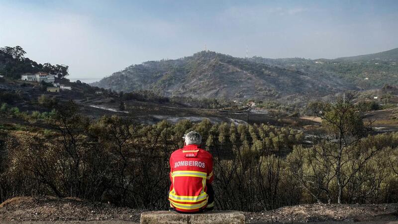 Fogo que deflagrou no domingo em Murça está em conclusão