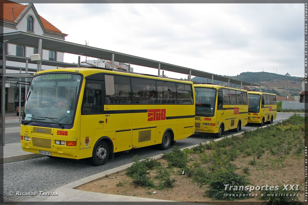 Nova rede de transportes nas Terras de Trás-os-Montes no início de 2020