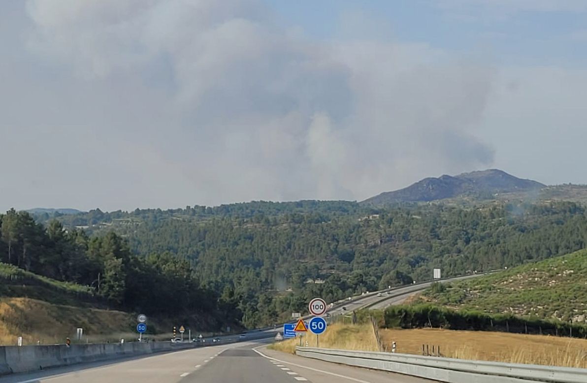 Fogo em Murça está "muito complicado" - Autarca