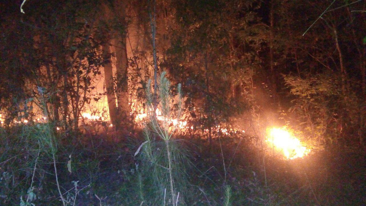 Jovem de 15 anos confessou autoria de dois incêndios