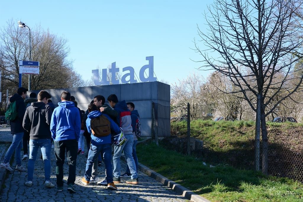 JE e Altice debatem “Interior como oportunidade para a Inovação"