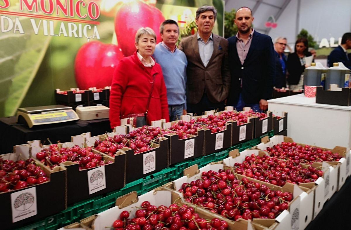 A melhor Festa da Cereja de sempre