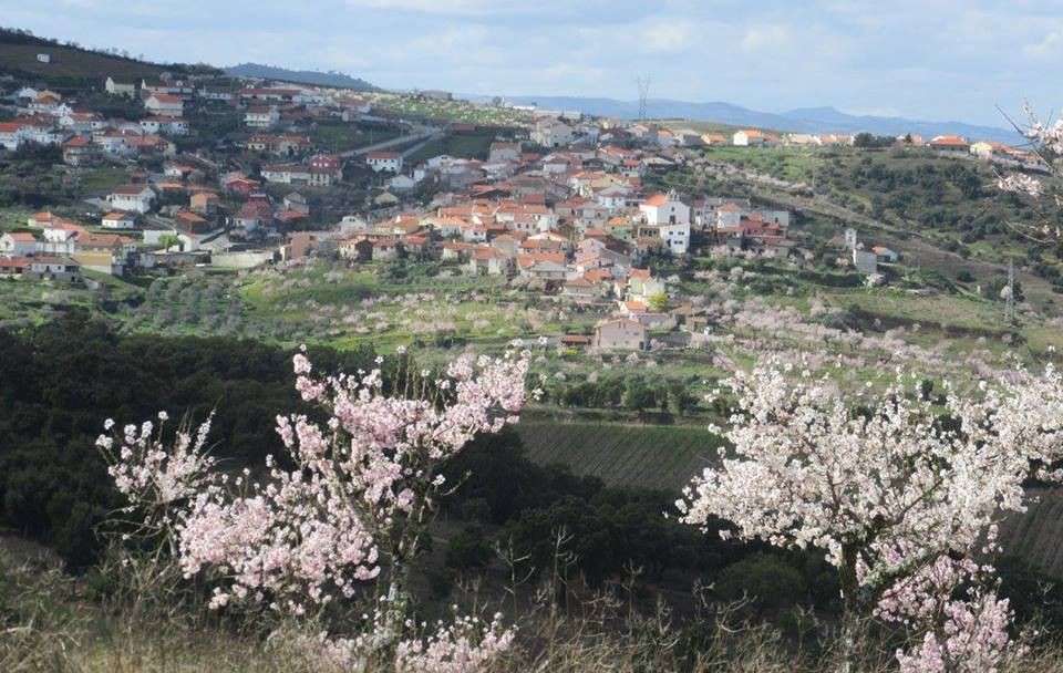 Jovem de 24 anos ficou ferido num acidente de trator em Ligares