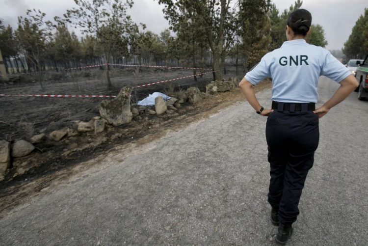 GNR e bombeiros fazem buscas por mulher desaparecida em Boticas