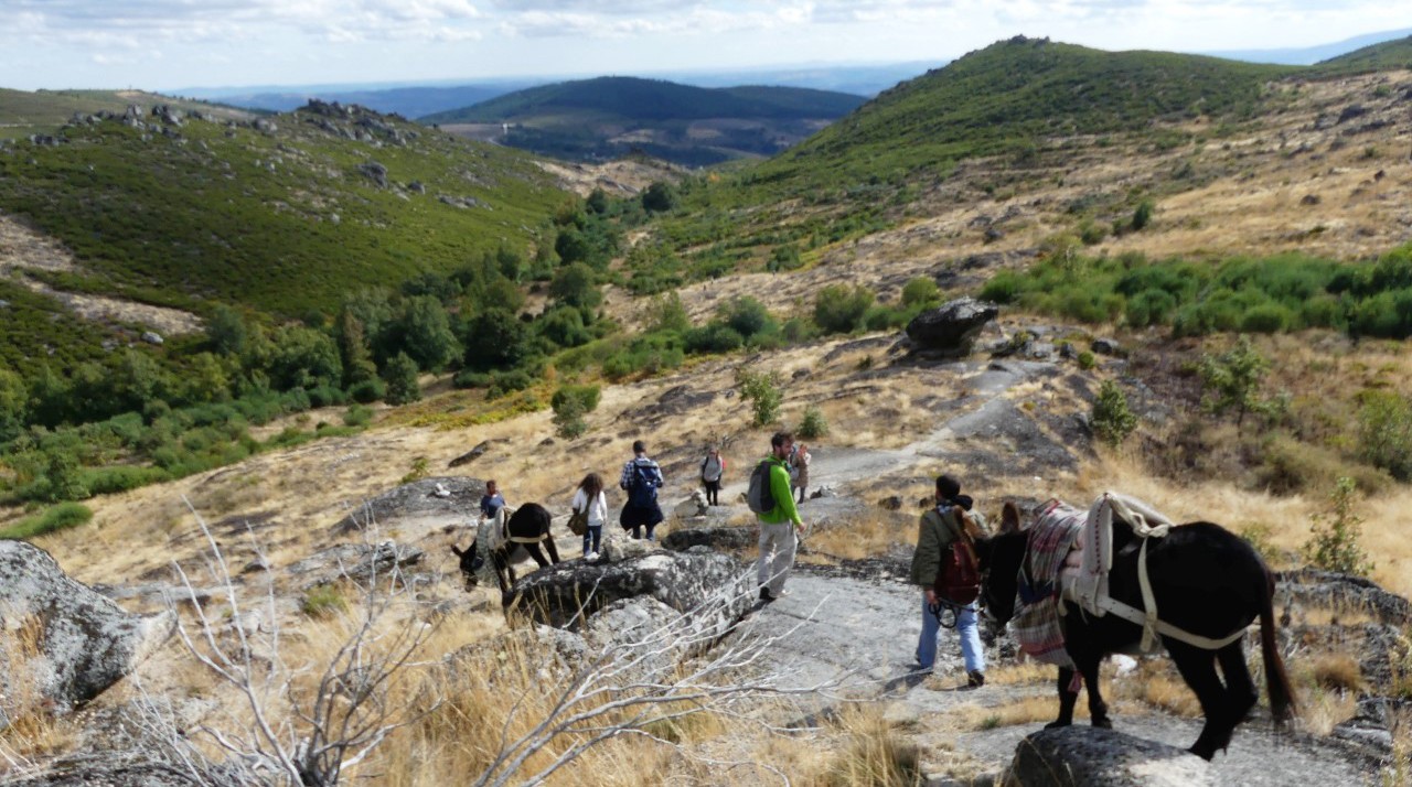 Conservação de aves Necrófagas e Rede Natura 2000