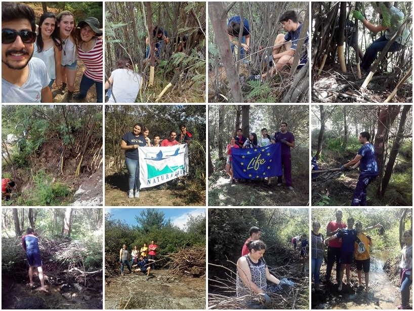 Voluntários vigiam, limpam e reflorestam a serra do Alvão