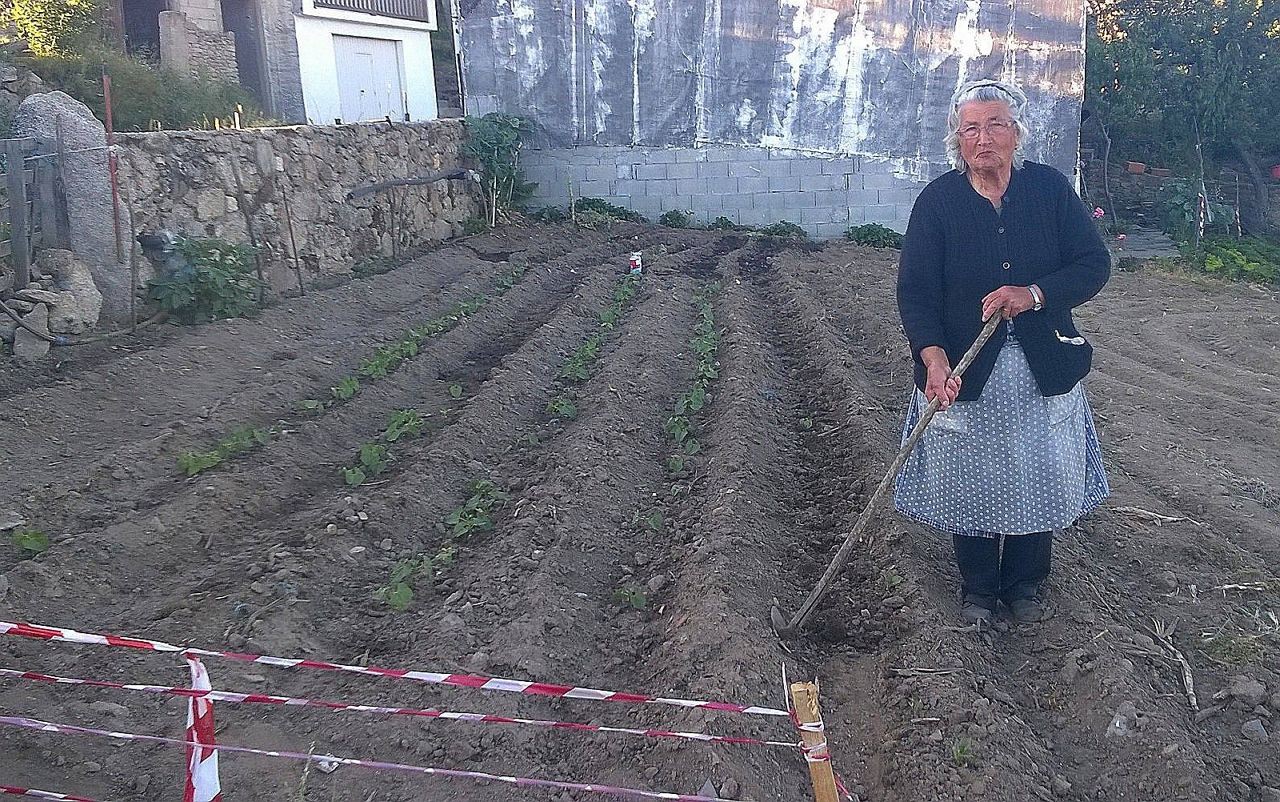 Governo consagra estatuto da agricultura familiar