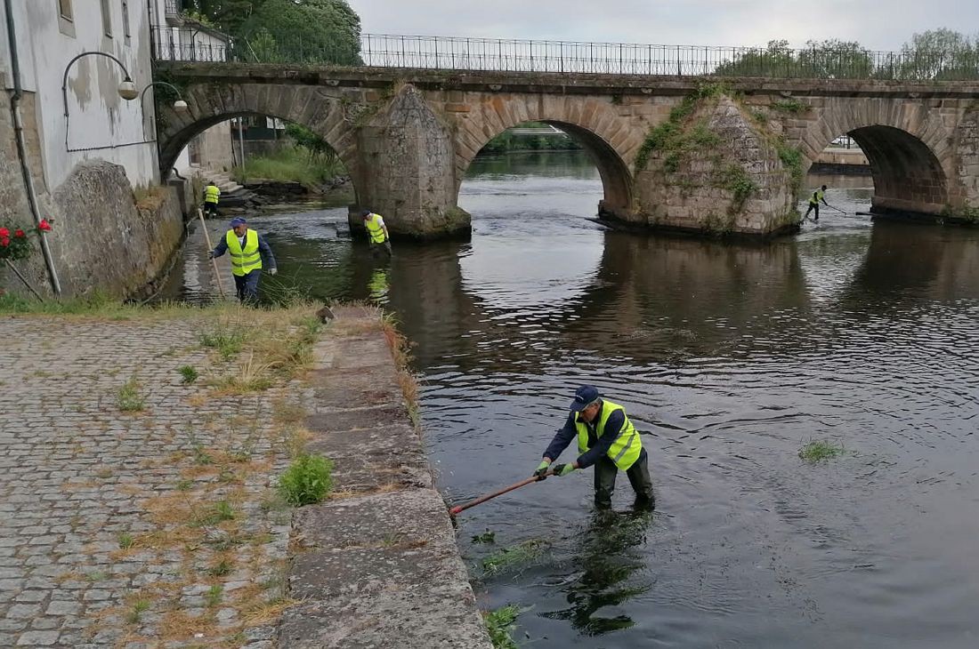 Chaves promove ação de limpeza das margens e leito do rio Tâmega