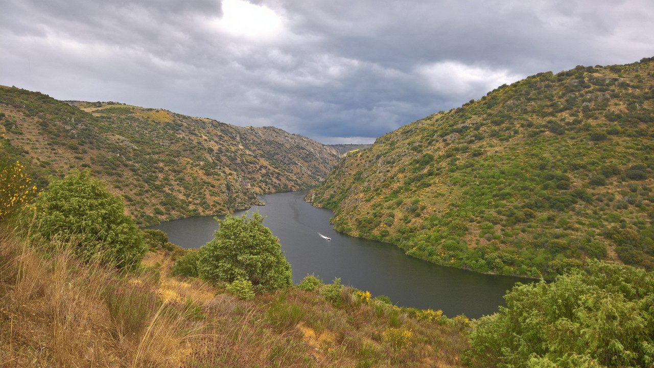 População e autarcas criticam gestão do Parque do Douro nos seus 20 anos