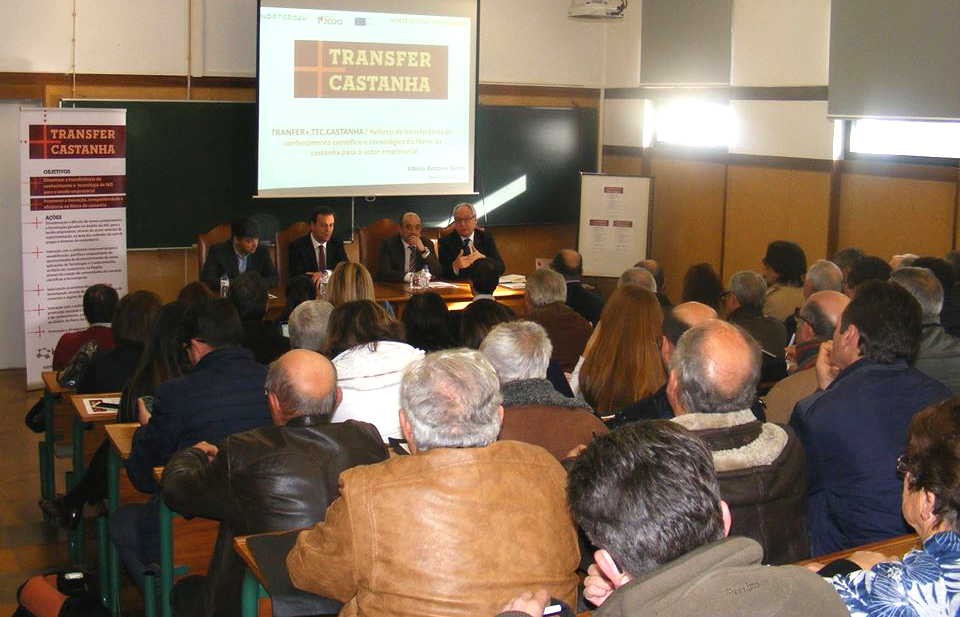 Politécnico de Bragança leva a produtores de castanha avanços científicos