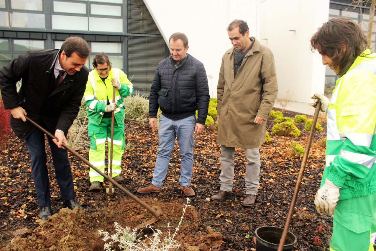 Dia da Floresta Autóctone celebrado em Bragança