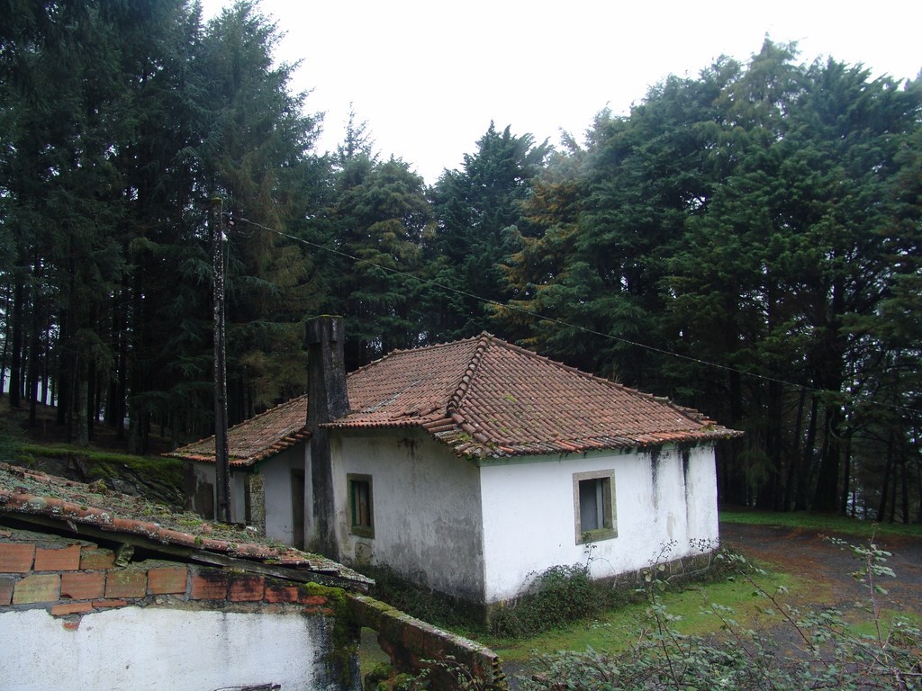 Vila Pouca de Aguiar reivindica antigas casas florestais