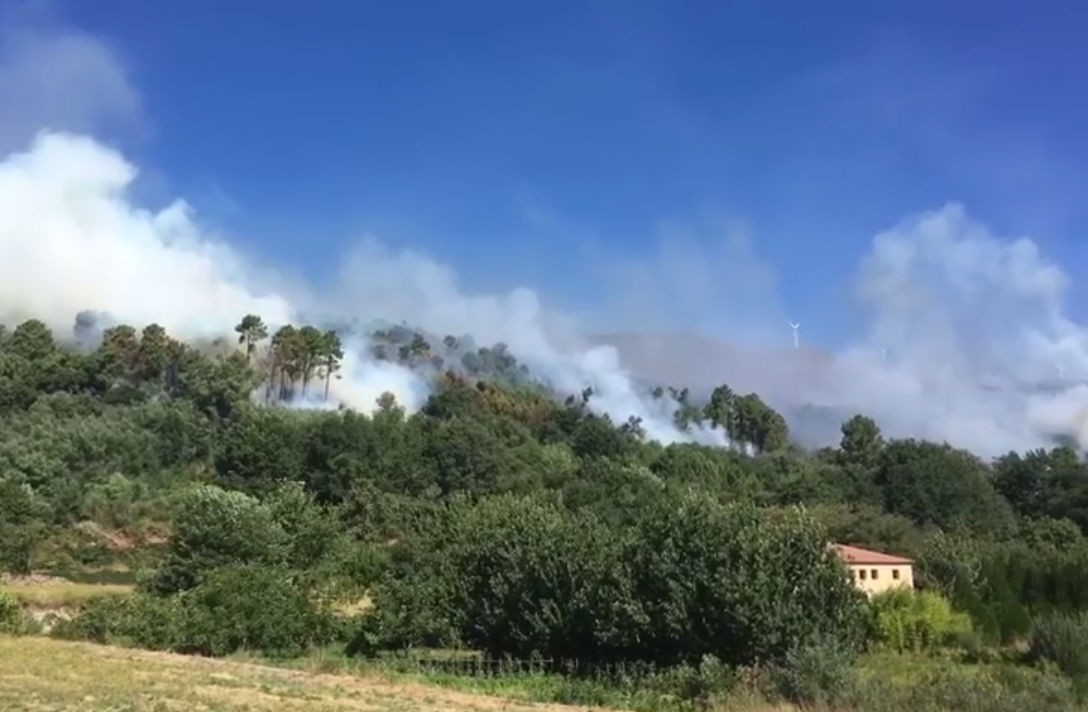 Área ardida na serra do Alvão foi de 450 hectares