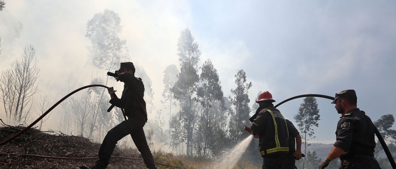 Incêndio dominado em Mondim de Basto