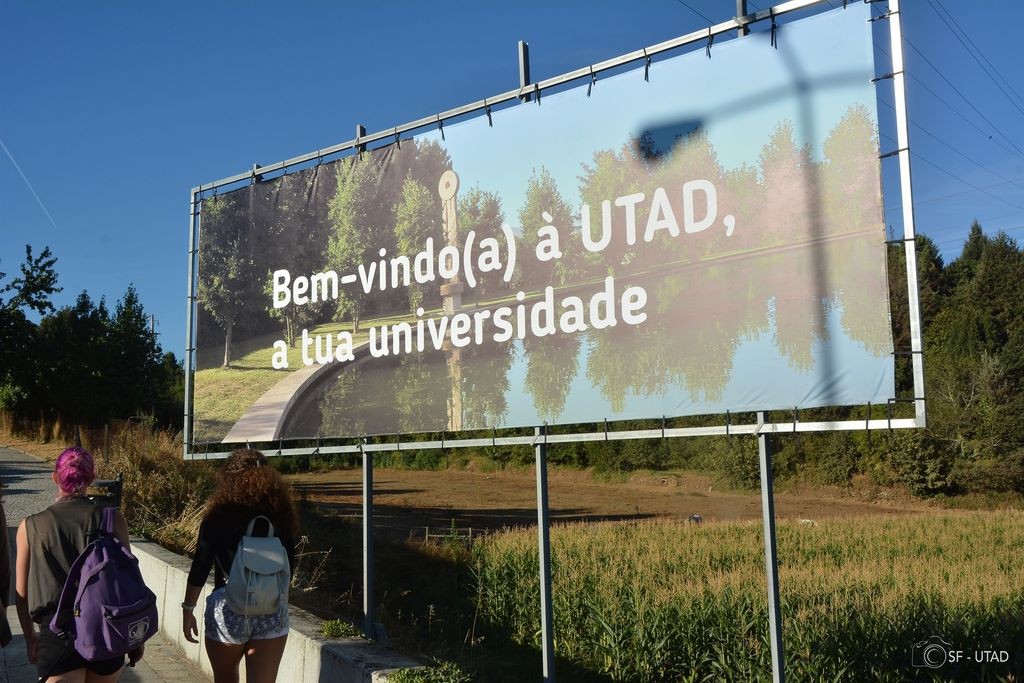  Orientação vocacional como causa de abandono no Ensino Superior