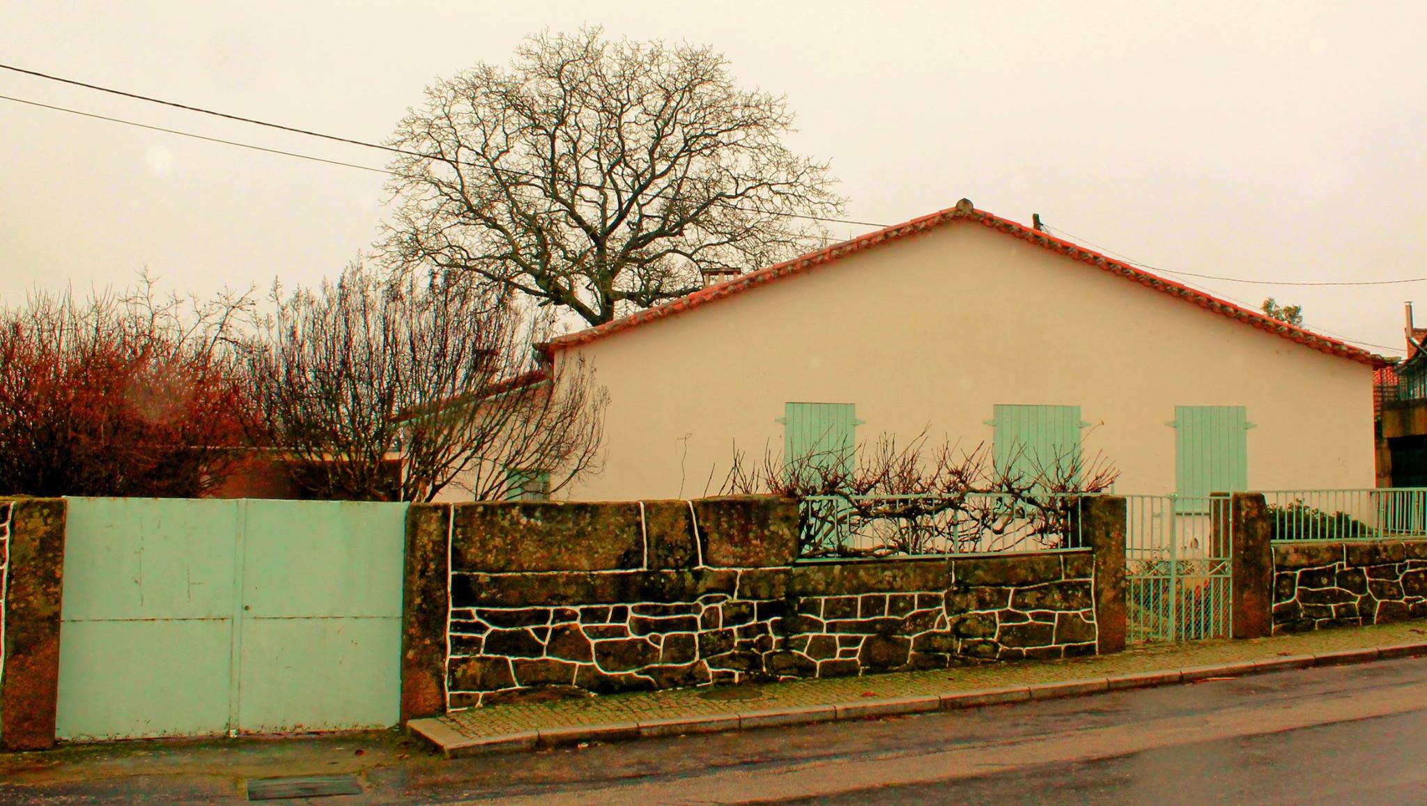 Casa de Miguel Torga poderá ser monumento de interesse público