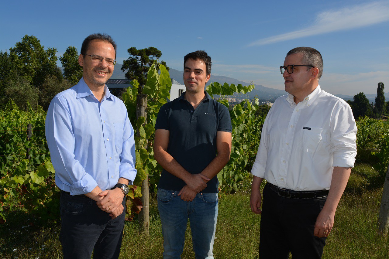 Alterações climáticas vão afetar a viticultura europeia até ao final do século