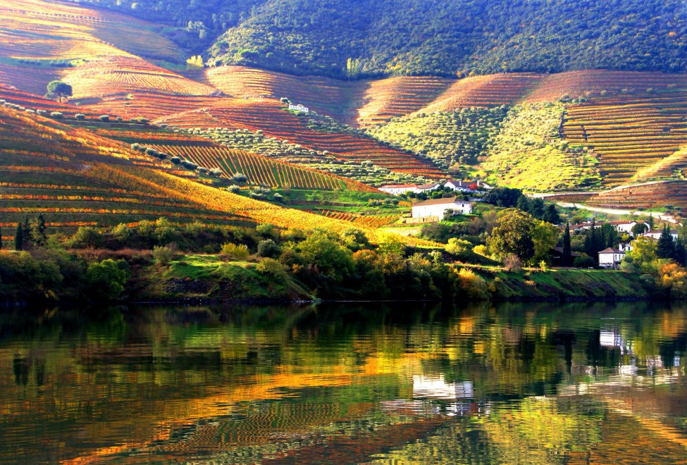 Douro é um dos “destinos mais fascinantes” para amantes de vinho