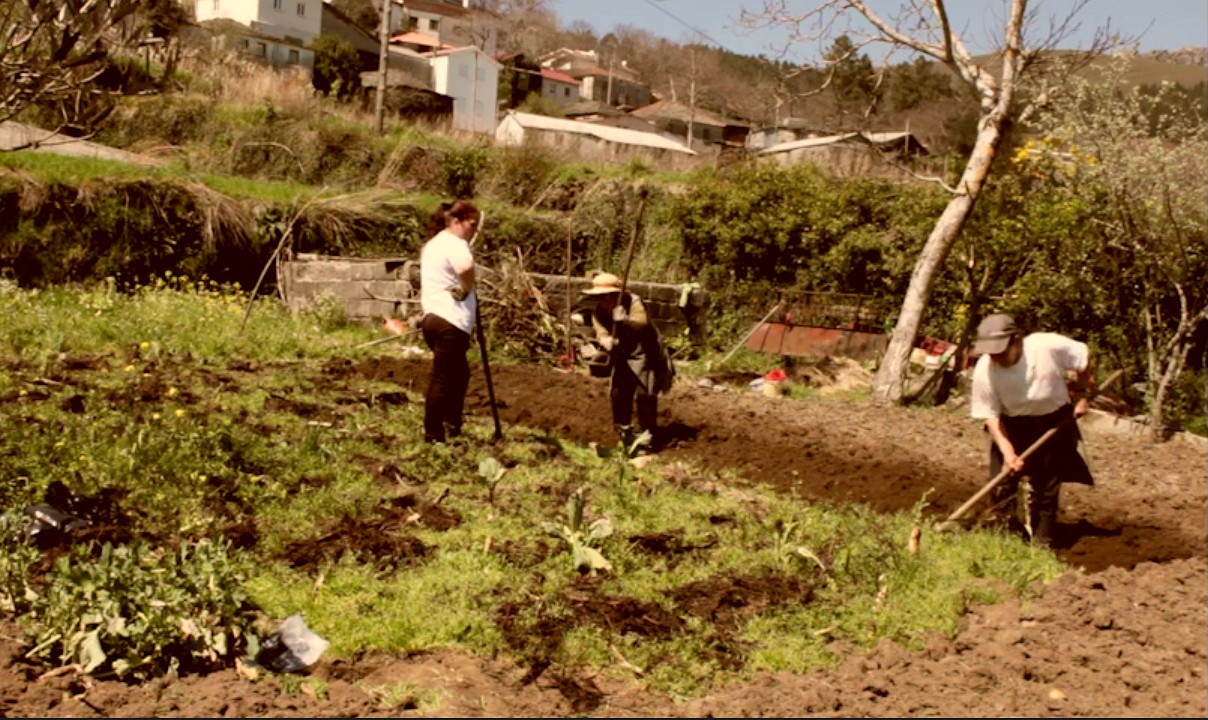 Documentário alerta para agonia das aldeias transmontanas