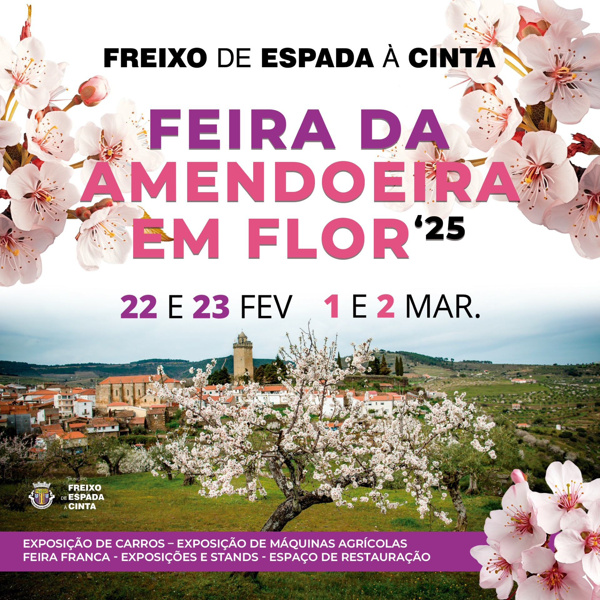 Freixo Amendoeiras em Flor